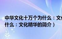 中华文化十万个为什么：文化精华（关于中华文化十万个为什么：文化精华的简介）