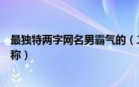 最独特两字网名男霸气的（二字独一无二霸气稳重的男士昵称）