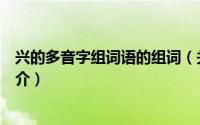 兴的多音字组词语的组词（关于兴的多音字组词语的组词简介）