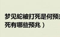 梦见蛇被打死是何预兆（不同的人梦见蛇被打死有哪些预兆）