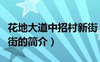 花地大道中招村新街（关于花地大道中招村新街的简介）