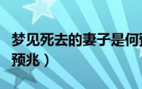 梦见死去的妻子是何预兆（梦见死去的妻子的预兆）