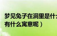 梦见兔子在洞里是什么意思（梦见兔子在洞里有什么寓意呢）