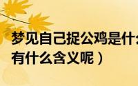 梦见自己捉公鸡是什么意思（梦见自己捉公鸡有什么含义呢）