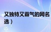 又独特又霸气的网名（个性高级霸气的网名精选）