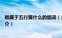 皓属于五行属什么的组词（关于皓属于五行属什么的组词简介）