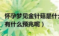 怀孕梦见金针菇是什么意思（怀孕梦见金针菇有什么预兆呢）