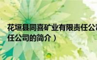 花垣县同喜矿业有限责任公司（关于花垣县同喜矿业有限责任公司的简介）