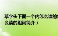 草字头下面一个内怎么读的组词（关于草字头下面一个内怎么读的组词简介）