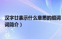 汉字廿表示什么意思的组词（关于汉字廿表示什么意思的组词简介）