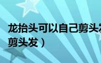 龙抬头可以自己剪头发吗（龙抬头能不能自己剪头发）