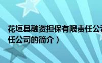 花垣县融资担保有限责任公司（关于花垣县融资担保有限责任公司的简介）