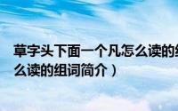 草字头下面一个凡怎么读的组词（关于草字头下面一个凡怎么读的组词简介）