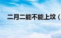 二月二能不能上坟（2月2龙抬头上坟不）