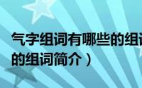 气字组词有哪些的组词（关于气字组词有哪些的组词简介）