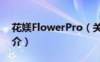 花媄FlowerPro（关于花媄FlowerPro的简介）