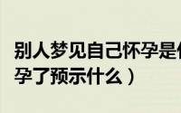 别人梦见自己怀孕是什么意思（别人梦见我怀孕了预示什么）