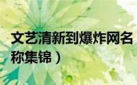 文艺清新到爆炸网名（文艺好听有趣的网名昵称集锦）