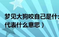 梦见大狗咬自己是什么预兆（梦见大狗咬自己代表什么意思）