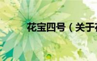 花宝四号（关于花宝四号的简介）