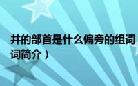 井的部首是什么偏旁的组词（关于井的部首是什么偏旁的组词简介）