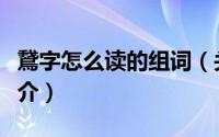 鵞字怎么读的组词（关于鵞字怎么读的组词简介）