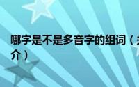 哪字是不是多音字的组词（关于哪字是不是多音字的组词简介）