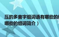 压的多音字组词语有哪些的组词（关于压的多音字组词语有哪些的组词简介）