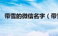 带雪的微信名字（带雪字气质的微信昵称）