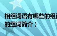 相组词语有哪些的组词（关于相组词语有哪些的组词简介）