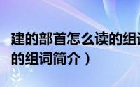 建的部首怎么读的组词（关于建的部首怎么读的组词简介）