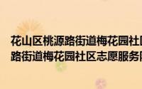 花山区桃源路街道梅花园社区志愿服务队（关于花山区桃源路街道梅花园社区志愿服务队的简介）