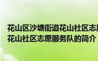 花山区沙塘街道花山社区志愿服务队（关于花山区沙塘街道花山社区志愿服务队的简介）