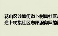 花山区沙塘街道卜树集社区志愿服务队（关于花山区沙塘街道卜树集社区志愿服务队的简介）