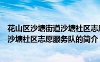 花山区沙塘街道沙塘社区志愿服务队（关于花山区沙塘街道沙塘社区志愿服务队的简介）