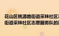 花山区桃源路街道采秣社区志愿服务队（关于花山区桃源路街道采秣社区志愿服务队的简介）