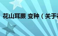 花山耳蕨 变种（关于花山耳蕨 变种的简介）