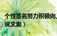 个性签名努力积极向上（积极阳光有气质的说说文案）