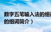 数字五笔输入法的组词（关于数字五笔输入法的组词简介）