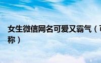 女生微信网名可爱又霸气（可爱霸气优雅的女孩微信网名昵称）