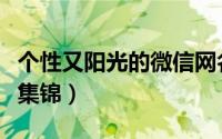 个性又阳光的微信网名（简短阳光的微信昵称集锦）