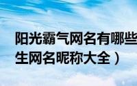 阳光霸气网名有哪些男生（2023阳光霸气男生网名昵称大全）