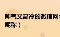 帅气又高冷的微信网名（大气高冷系的男微信昵称）