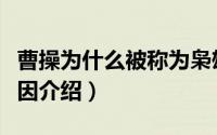 曹操为什么被称为枭雄（曹操被称为枭雄的原因介绍）