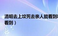 清明去上坟死去亲人能看到吗（清明去上坟死去亲人能不能看到）