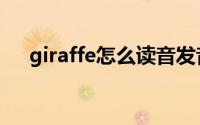 giraffe怎么读音发音（giraffe怎么读）