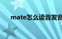 mate怎么读音发音（mate什么意思）