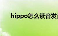 hippo怎么读音发音（怎么读hippo）