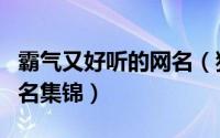 霸气又好听的网名（独一无二霸气又好听的网名集锦）