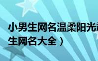 小男生网名温柔阳光霸气（阳光温柔霸气的男生网名大全）